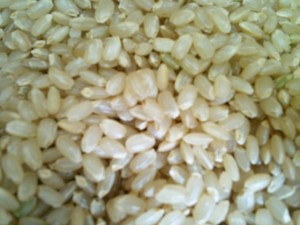 上田さんのミルキークィーン玄米